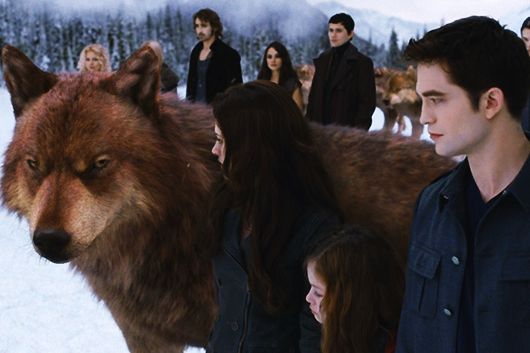 รีวิว twilight 2012 Part 2