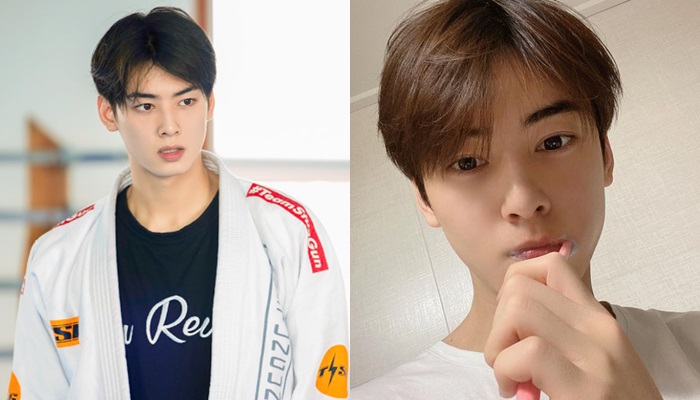 ชาอึนอู, Cha Eun Woo