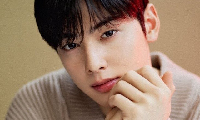 Cha Eun Woo
