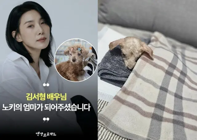 Kim Seo Hyung