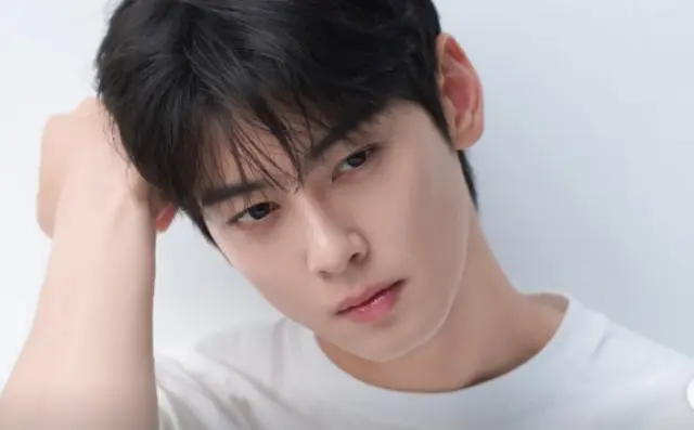 Cha Eun Woo