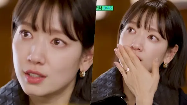 Park Shin Hye