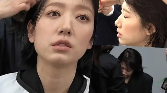 Park Shin Hye