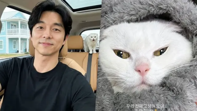 Gong Yoo